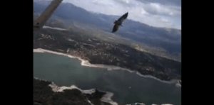 Vídeo Buitre - Escuela de Vuelo