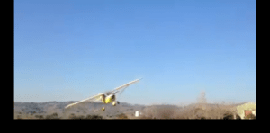 Vídeo Pasada del Pollito